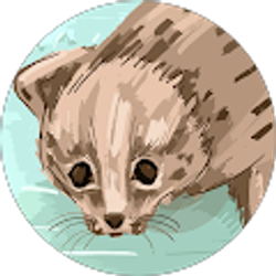 Profile photo of Allyson M.