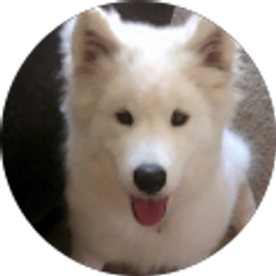 Profile photo of Gabriela Archuleta