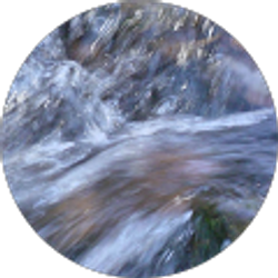 Profile photo of Mary12