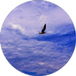 Profile photo of Daniel Hefka