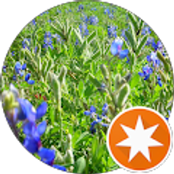 Profile photo of IowaHiker