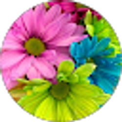 Profile photo of MLopez