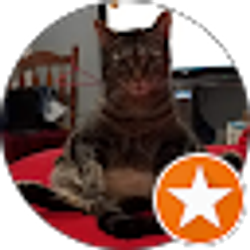 Profile photo of Paula Loyd