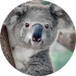 Profile photo of Dylan Foncha