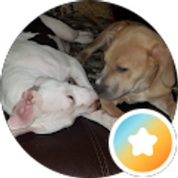 Profile photo of DaVett Williams