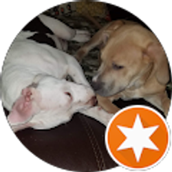 Profile photo of DaVett Williams