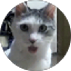 Profile photo of Lukas Young