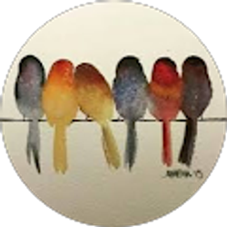 Profile photo of Sue Shepard