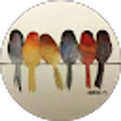 Profile photo of Sue Shepard