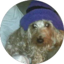 Profile photo of Debbie Smith