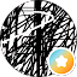 Profile photo of R Robl