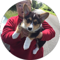 Profile photo of Patty Radvick