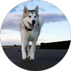 Profile photo of Nick Rush