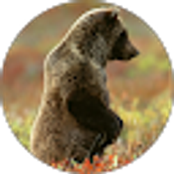 Profile photo of Kendall Keane