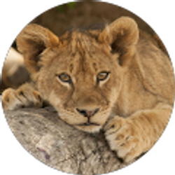 Profile photo of Devon Willis