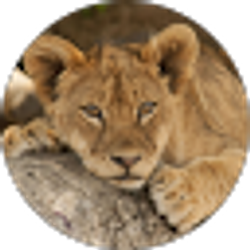 Profile photo of Devon Willis