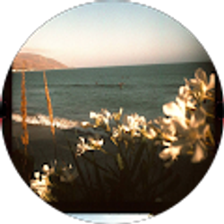 Profile photo of Adriana Prospere