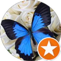 Profile photo of Donna White