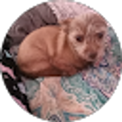Profile photo of Valerie Register