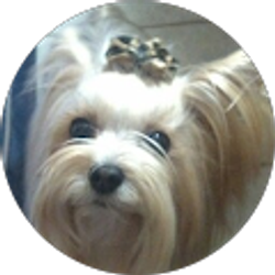 Profile photo of Sandra Alvis