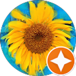 Profile photo of Tommy Coyote