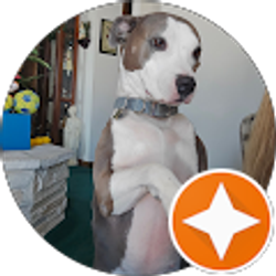 Profile photo of Alexis Loren