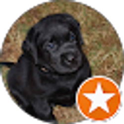 Profile photo of S D