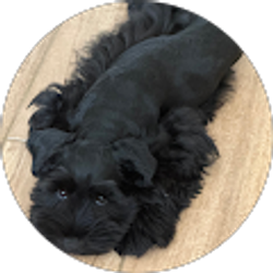 Profile photo of Surethia Wimberly