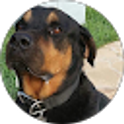 Profile photo of Denys Gonzalez