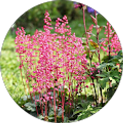 Profile photo of jenny