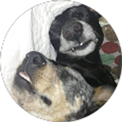 Profile photo of Donkey Lips