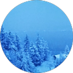 Profile photo of Gayle Wekenman