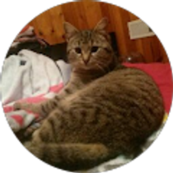 Profile photo of I C