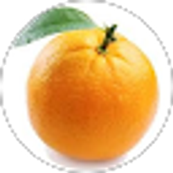Profile photo of Raphael Orange