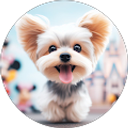 Profile photo of Tom Liu