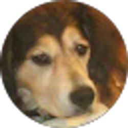 Profile photo of Ada Rose Fogal