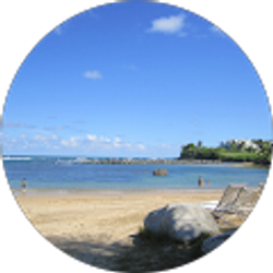 Profile photo of Amanda Sheelor