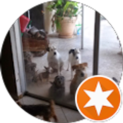 Profile photo of miguel perez