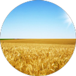 Profile photo of Ivan Batyn