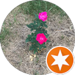 Profile photo of Olivia Hilke