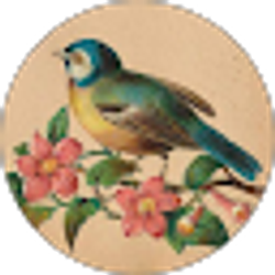 Profile photo of Stefin Mccargar