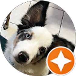 Profile photo of Nat