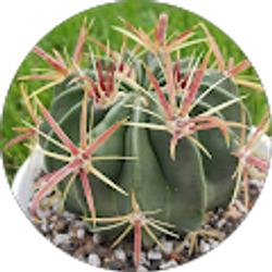 Profile photo of Luke