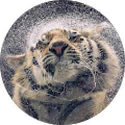 Profile photo of Ayden Brophy