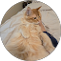 Profile photo of Eloy Bolanos