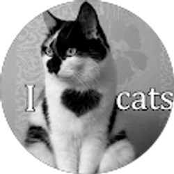 Profile photo of Angela Johnson