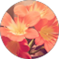 Profile photo of Bertha Luna