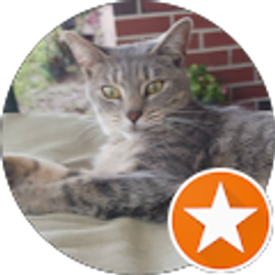 Profile photo of Jodi Lightsey