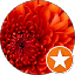 Profile photo of Theresa Phillips