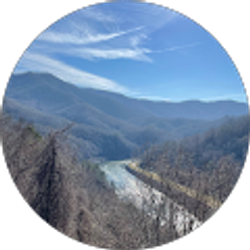 Profile photo of Catherine Ingram